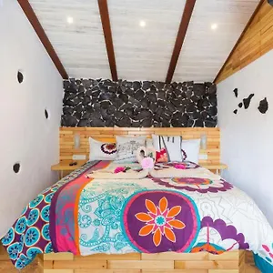 https://traditional-canary-cottage-in-masca.in-canary-islands.com